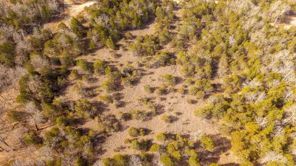 000 Rimstone Lane, Gainesville, MO 65655