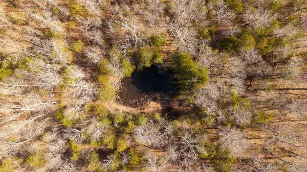 000 Rimstone Lane, Gainesville, MO 65655