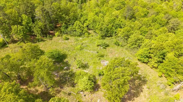 1163-1071 Fee Hollow700.00, Yellville, AR 72687