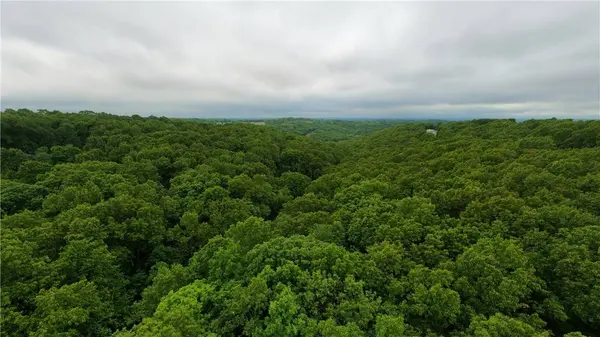 TBD Devils Pool Rd, Ridgedale, MO 65739