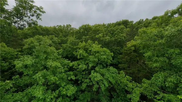 TBD McMeen Dr, Ridgedale, MO 65739