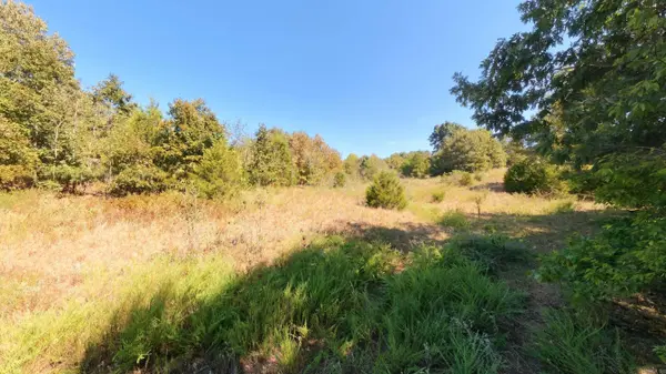TBD Honeytree Lane, Camp, AR 72520