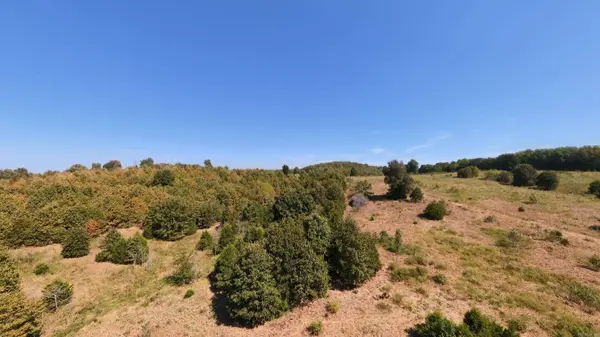 TBD Honeytree Lane, Camp, AR 72520