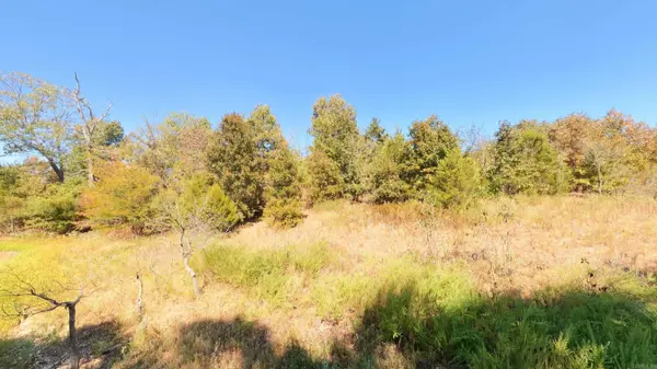 TBD Honeytree Lane, Camp, AR 72520