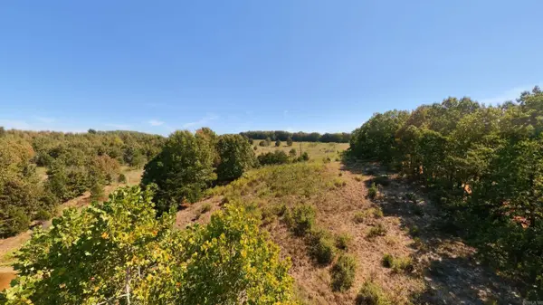 TBD Honeytree Lane, Camp, AR 72520
