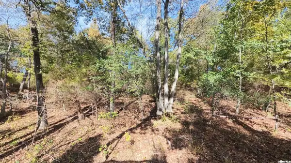 Tract 1 Pleasant Run Road, Mammoth Spring, AR 72554