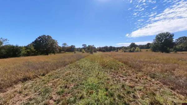Tract 3 PLEASANT RUN ROAD, Mammoth Spring, AR 72554