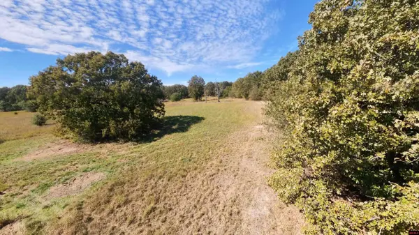 Tract 3 PLEASANT RUN ROAD, Mammoth Spring, AR 72554