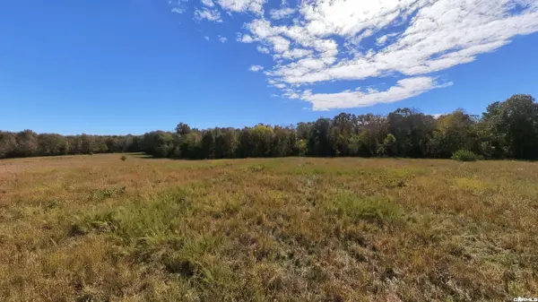 Tract 3 Pleasant Run Road, Mammoth Spring, AR 72554