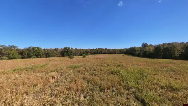 Tract 2 PLEASANT RUN ROAD, Mammoth Spring, AR 72554