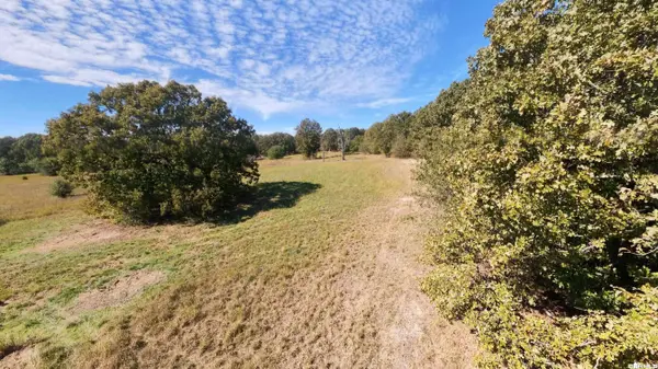 Tract 3 Pleasant Run Road, Mammoth Spring, AR 72554
