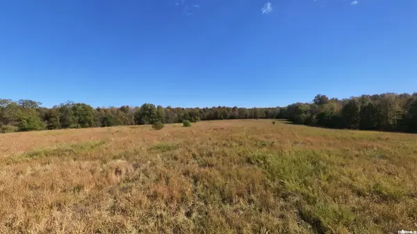Tract 3 Pleasant Run Road, Mammoth Spring, AR 72554