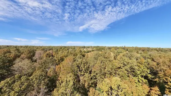 Tract 1 Pleasant Run Road, Mammoth Spring, AR 72554