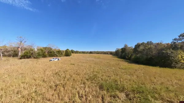 Tract 2 PLEASANT RUN ROAD, Mammoth Spring, AR 72554