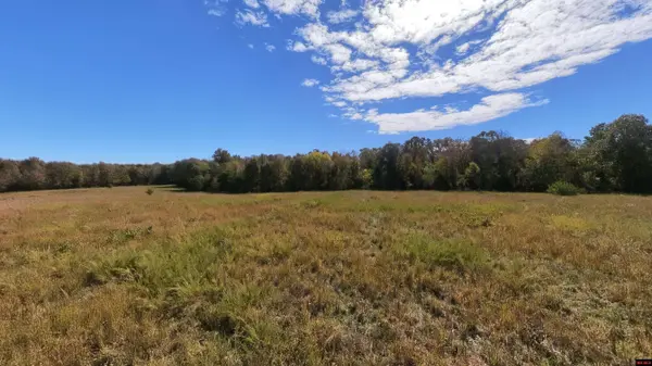 Tract 2 PLEASANT RUN ROAD, Mammoth Spring, AR 72554