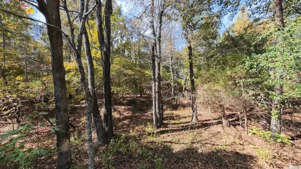 Tract 1 Pleasant Run Road, Mammoth Spring, AR 72554