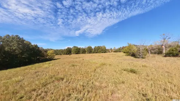 Tract 1 Pleasant Run Road, Mammoth Spring, AR 72554