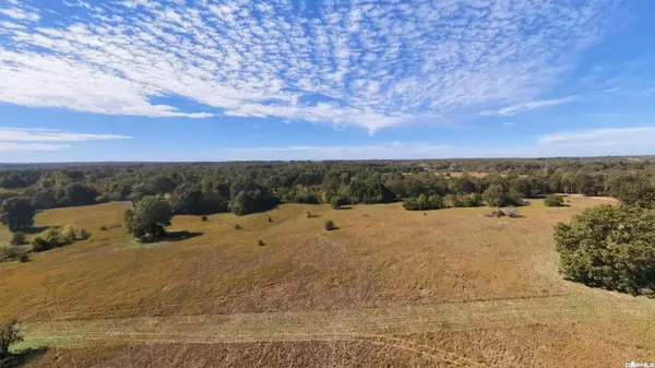 Tract 3 Pleasant Run Road, Mammoth Spring, AR 72554