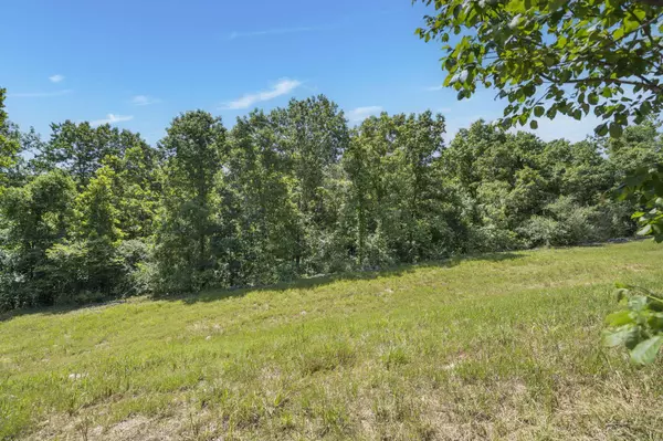 Lot 19 Legends Lane, Hollister, MO 65672
