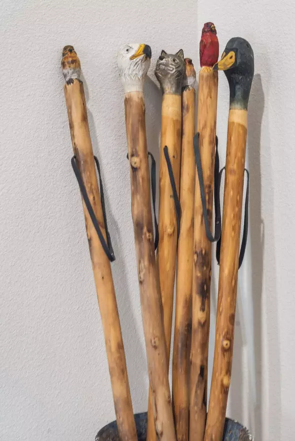 141 Turtle Rdg Drive, Branson, MO 65616