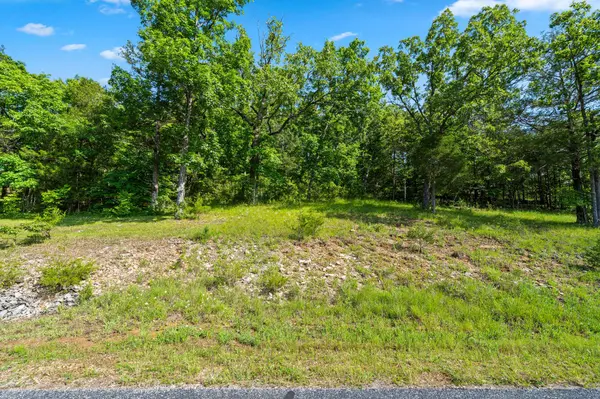 Tbd Cedar #Lot 91a, Saddlebrooke, MO 65630