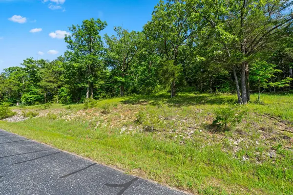 Tbd Cedar #Lot 91a, Saddlebrooke, MO 65630
