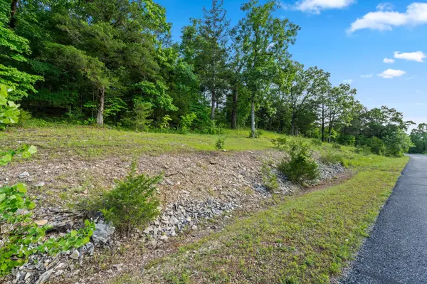 Tbd Cedar #Lot 91a, Saddlebrooke, MO 65630