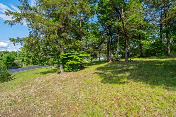 Tbd Cedar #Lot 91a, Saddlebrooke, MO 65630