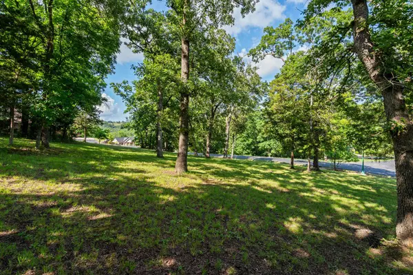 Tbd Cedar Bluff  Lot 94, Saddlebrooke, MO 65630
