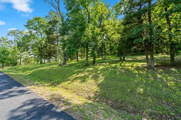 Tbd Cedar Bluff  Lot 94, Saddlebrooke, MO 65630
