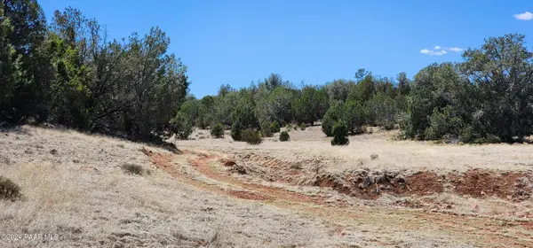 00 Wooden Ear Ranch Road, Seligman, AZ 86337