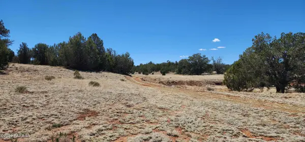 00 Wooden Ear Ranch Road, Seligman, AZ 86337