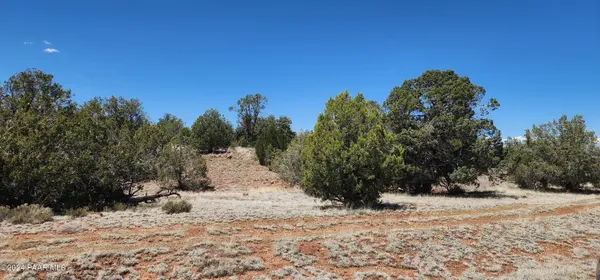 00 Wooden Ear Ranch Road, Seligman, AZ 86337