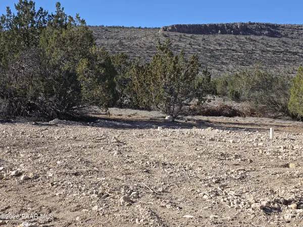 53302 Shadow Mountain Pkwy, Seligman, AZ 86337