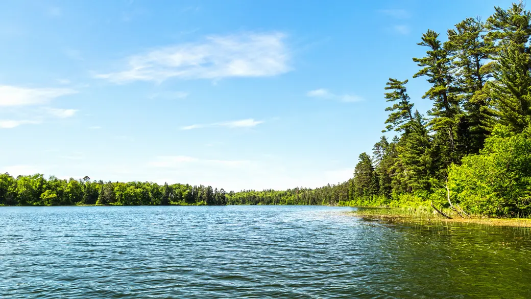 Living in Pinckney, MI: Neighborhoods, Schools & Lifestyle