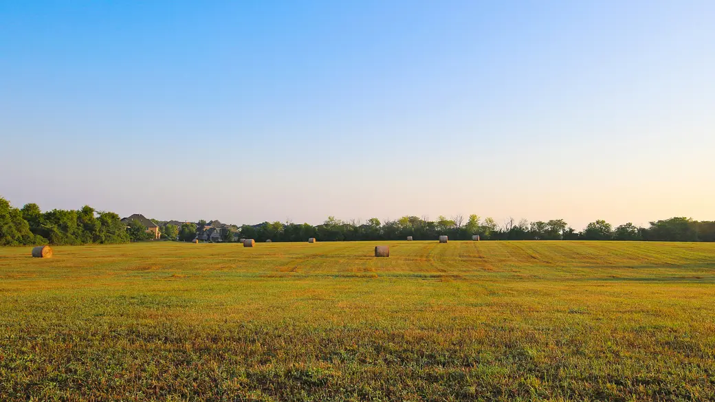 Living in Fowlerville, MI: What to Know Before Moving to Fowlerville