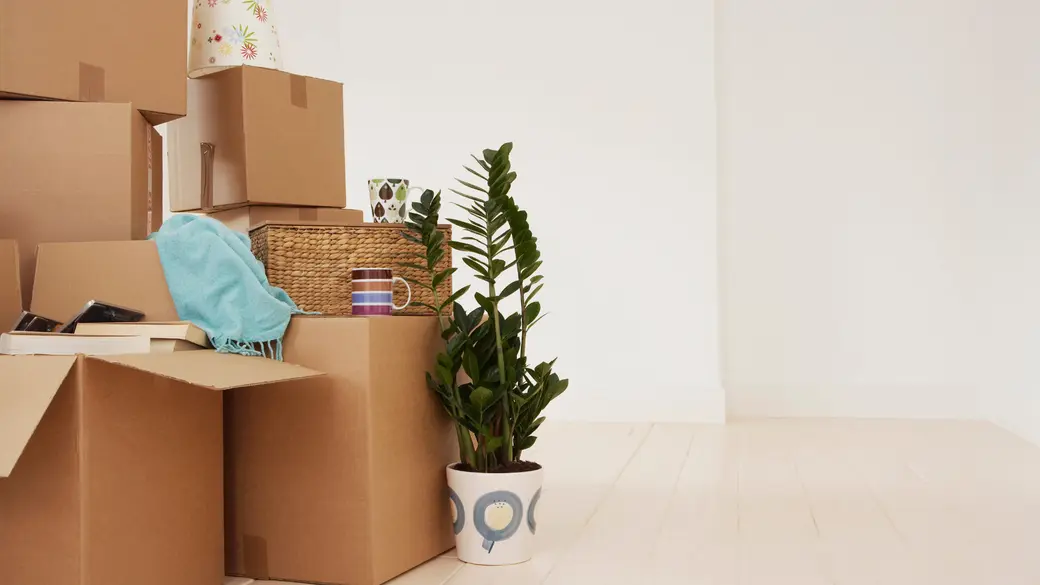 Relocating to Livingston County, MI? A Local Realtor’s Moving Guide