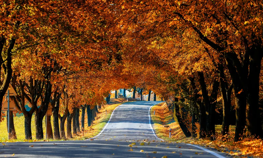 The End-of-Year Market Advantage: Why November Is a Great Month to Buy or Sell in Livingston County