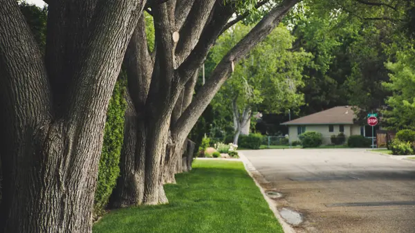 Moving to Livingston County, MI? What Out-of-Area Buyers Wish They Knew Before Relocating,Pat Lotz