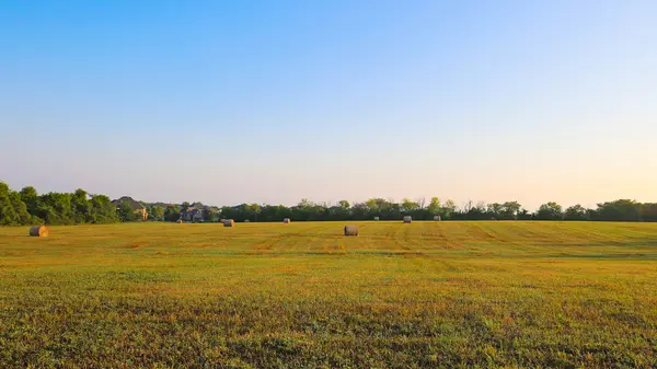 Living in Fowlerville, MI: What to Know Before Moving to Fowlerville,Pat Lotz
