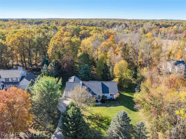 10589 Home Shore DR, Pinckney, MI 48169