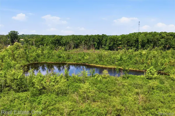 000 Dorr RD, Genoa Township, MI 48114