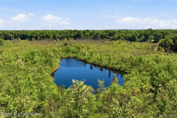 000 Dorr RD, Genoa Township, MI 48114