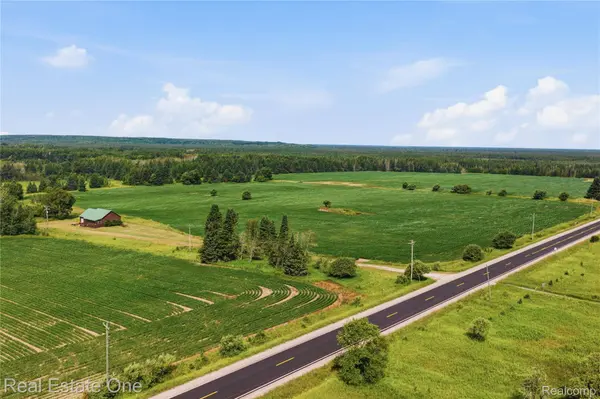 2643 N Gulliver RD, Doyle Township, MI 49840