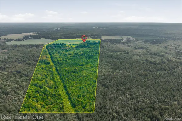 2643 N Gulliver RD, Doyle Township, MI 49840