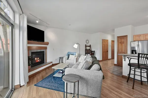 850 Blue River Pkwy #E5, Silverthorne, CO 80498