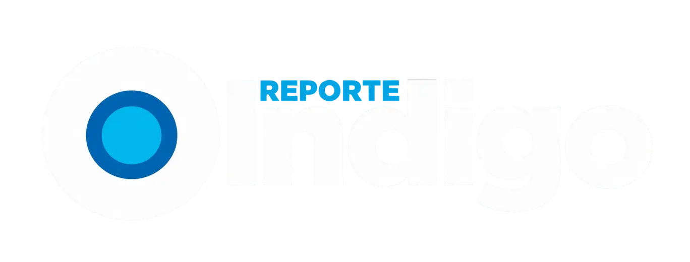 REPORTE INDIGO