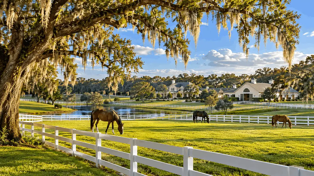 Ocala