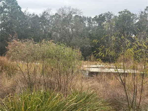 1443 TERN CT, Poinciana, FL 34759