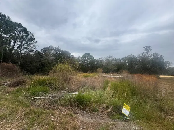 1443 TERN CT, Poinciana, FL 34759